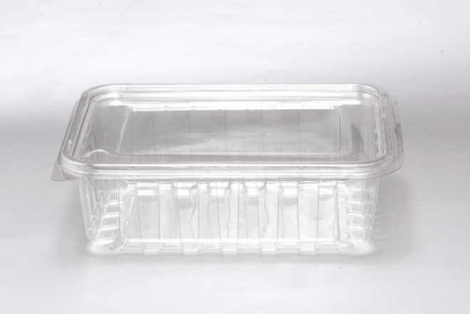 100 CC Leakproof Food Container