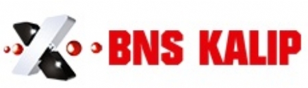 Bns Kalıp