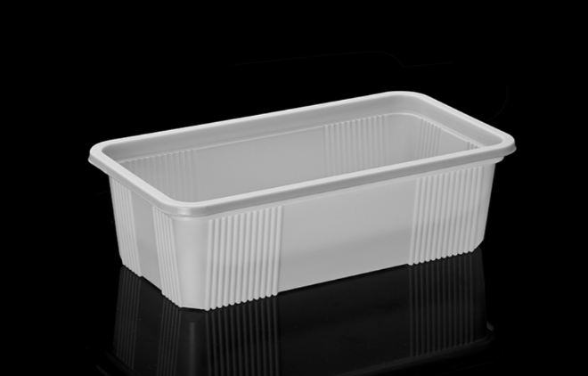Food Containers (1000gr)