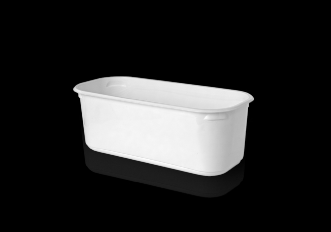 Ice Cream Container