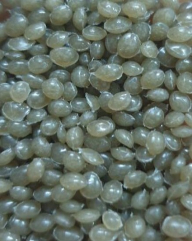 LDPE Honeycomb Color
