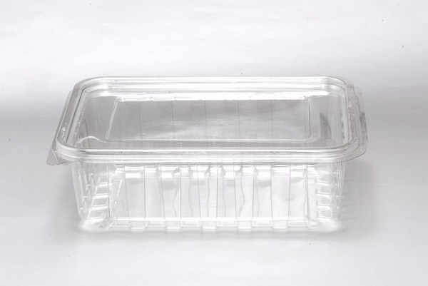100 CC Leakproof Food Container