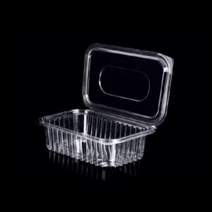 Ice Cream Container