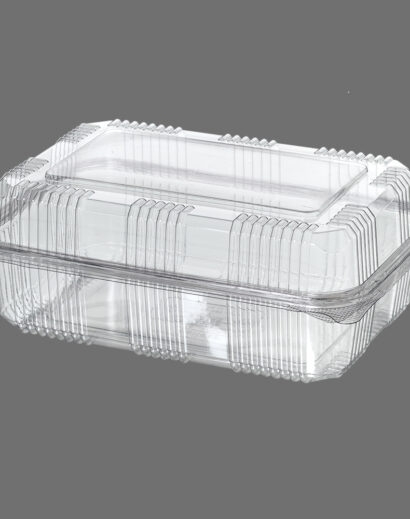 Plastic Food Container